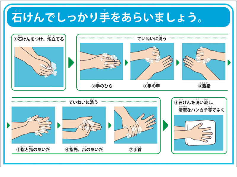 手洗いの順序