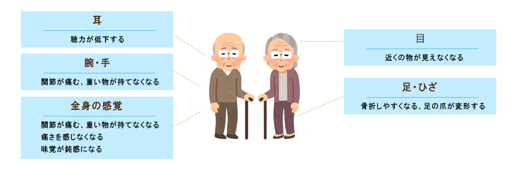 高齢者の身体機能の特徴